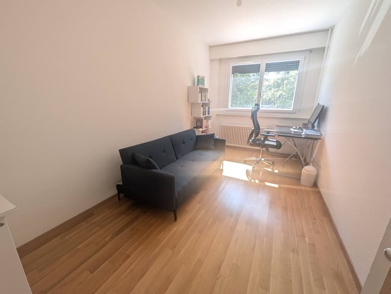 Fully furnished apartment for sublease, Geneva (3)