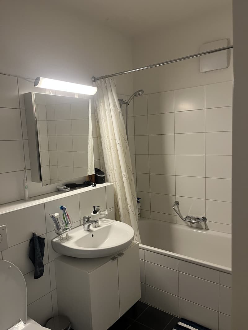 A room next to the lake in Enge (7)