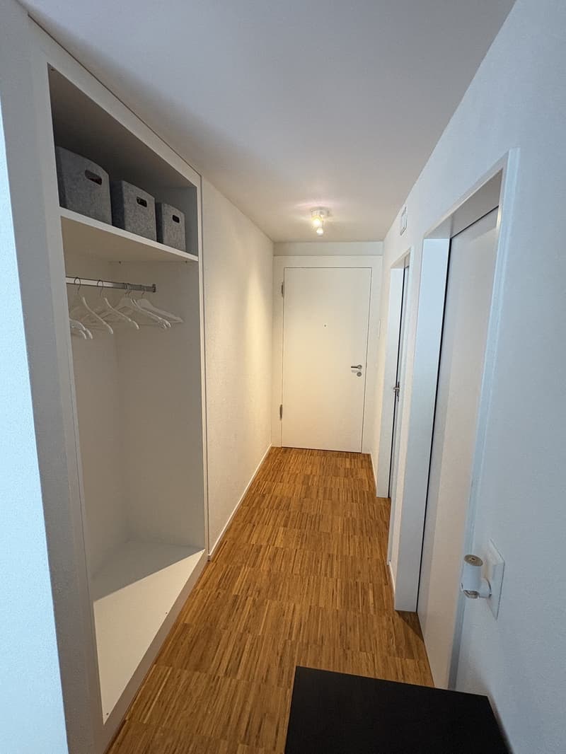 Neubauwohnung 2 1/2 Zimmer (3)