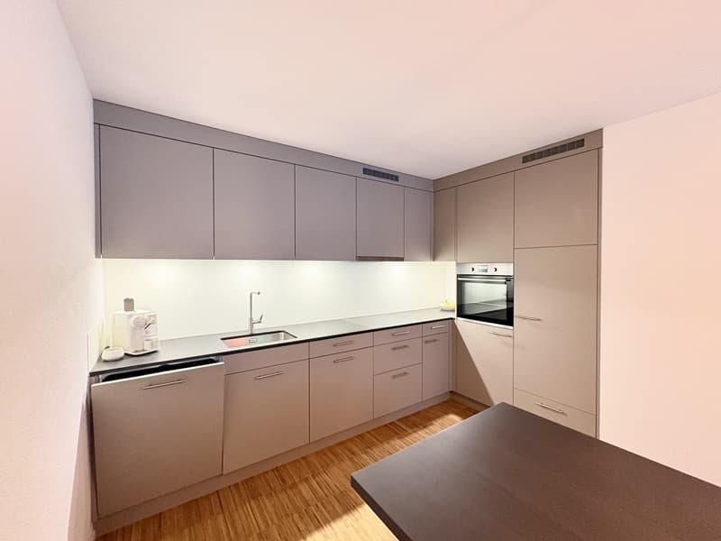 Neubauwohnung 2 1/2 Zimmer (5)