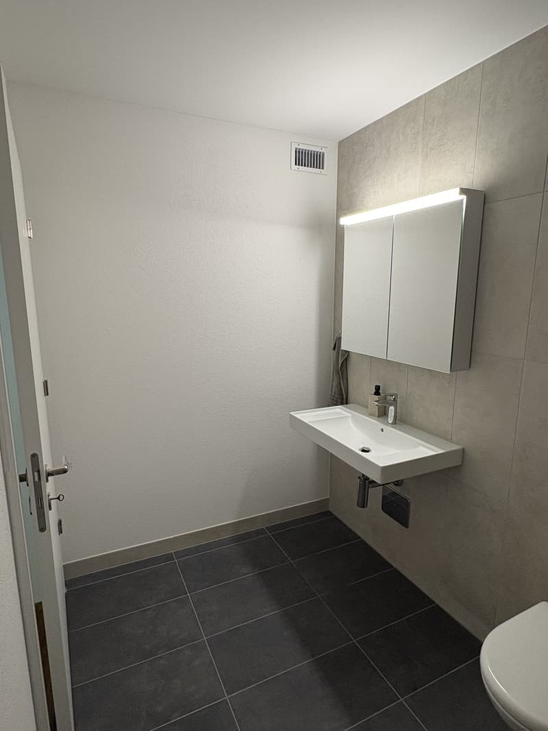 Neubauwohnung 2 1/2 Zimmer (7)