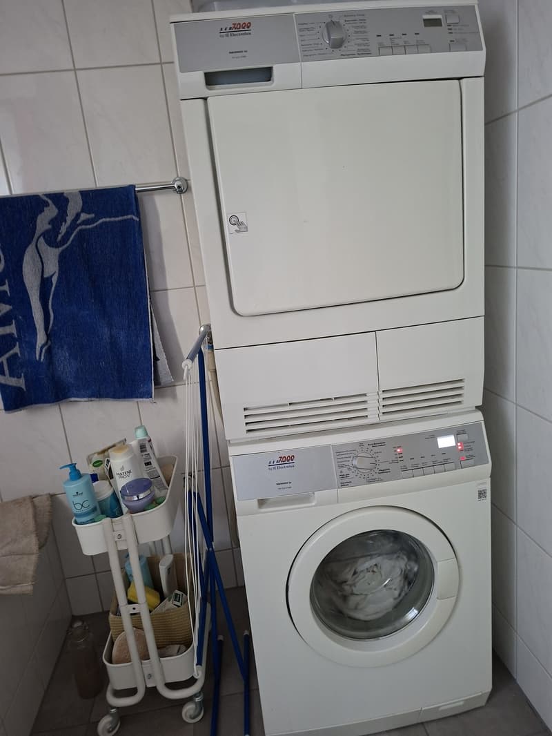 Mitbewonerin gesucht Frau (5)