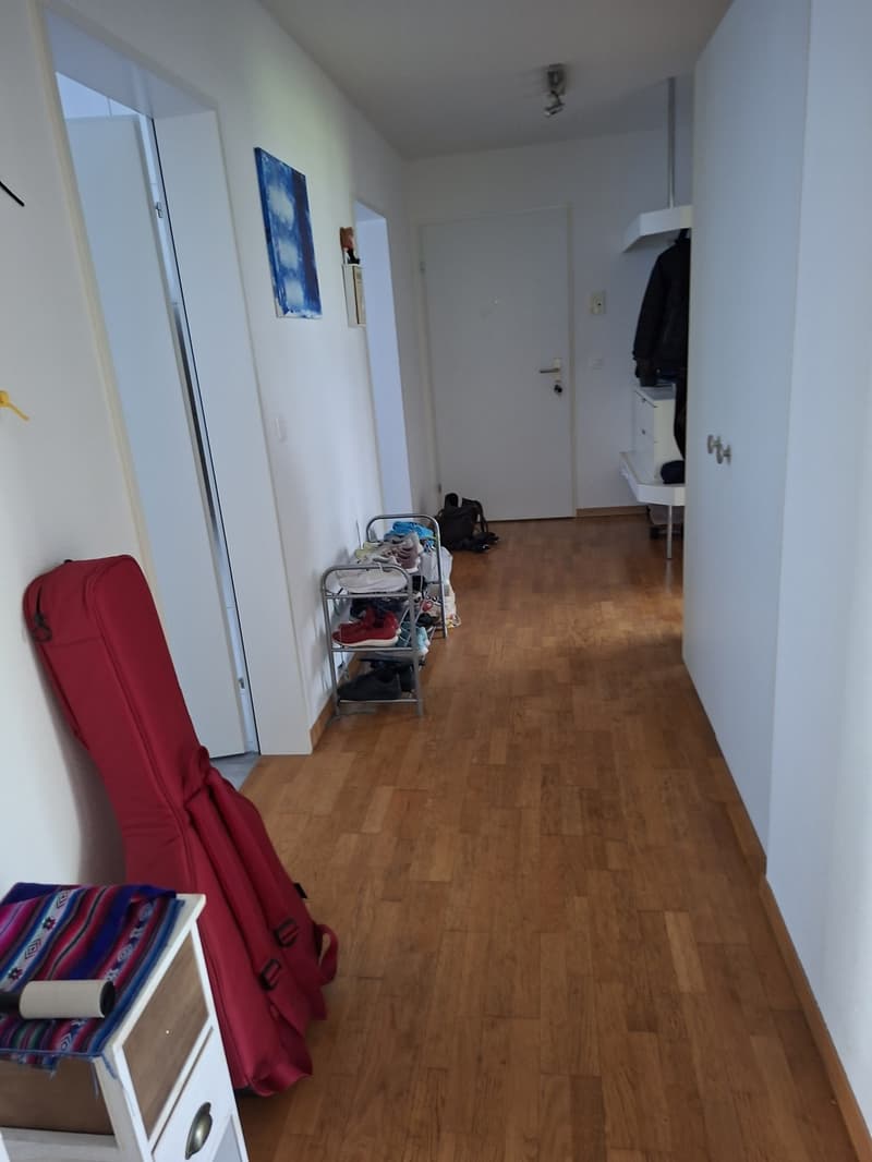 Mitbewonerin gesucht Frau (1)