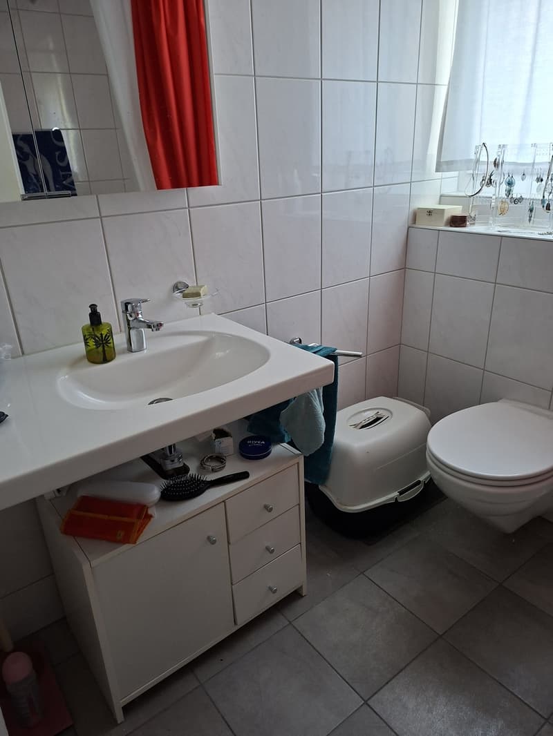 Mitbewonerin gesucht Frau (6)