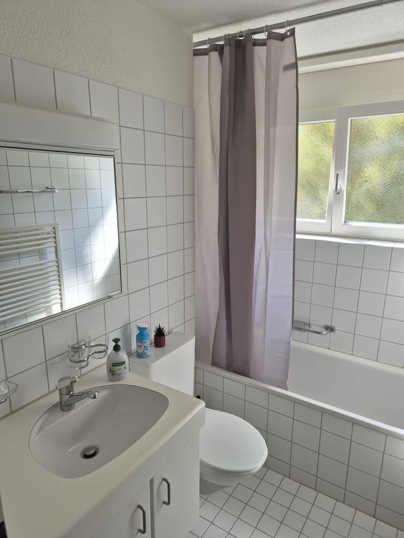 WG Zimmer in Zürich-Altstetten (4)