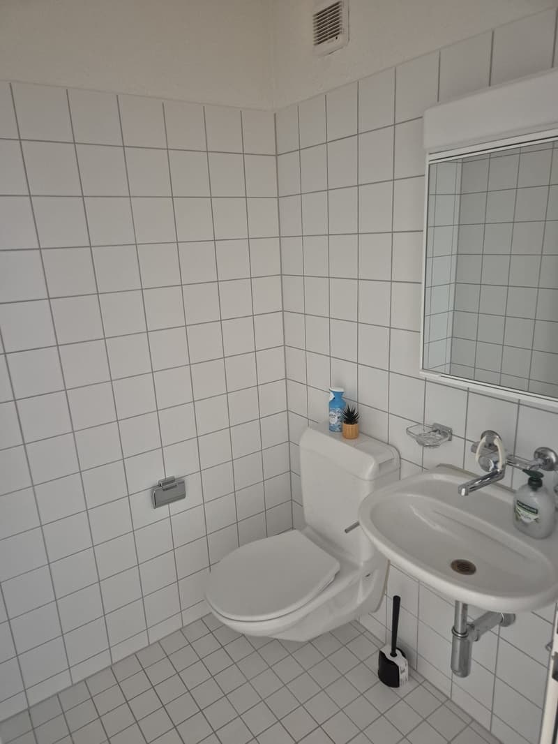 WG Zimmer in Zürich-Altstetten (5)