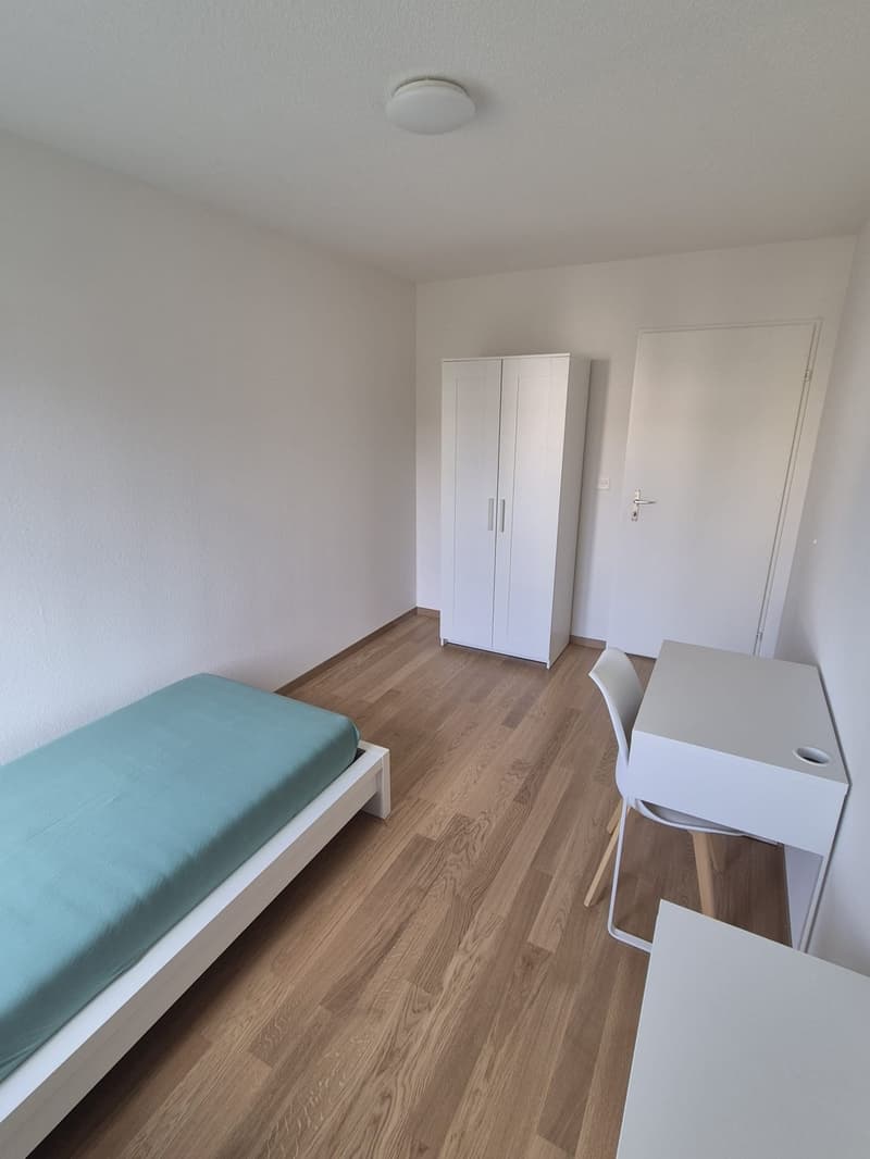 WG Zimmer in Zürich-Altstetten (2)