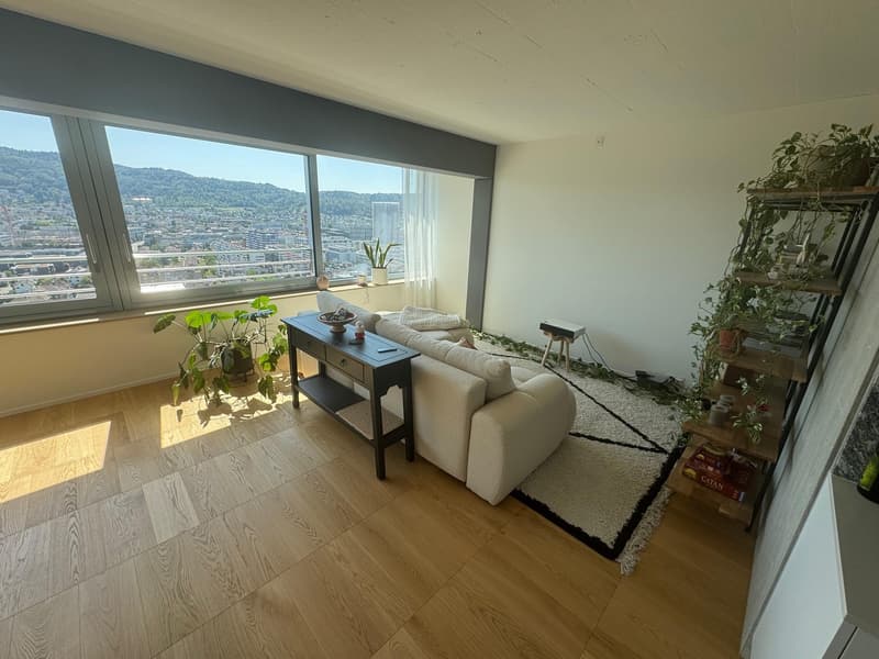 2.5 modern apartment with great views (1)