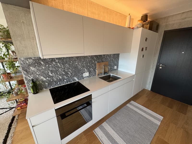 2.5 modern apartment with great views (4)