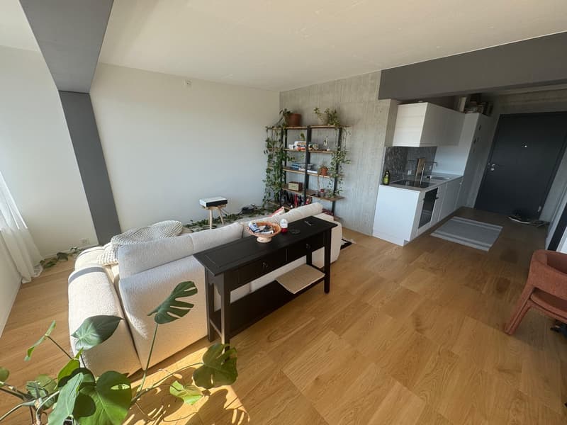 2.5 modern apartment with great views (2)