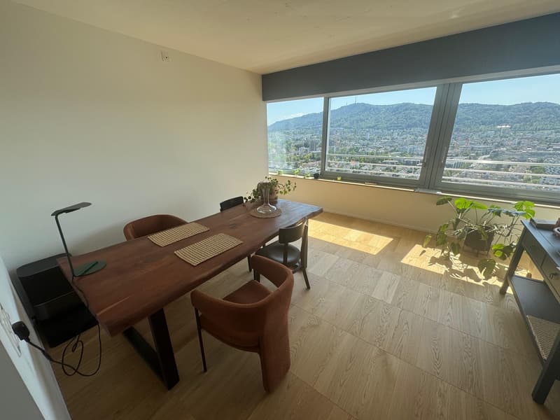 2.5 modern apartment with great views (3)