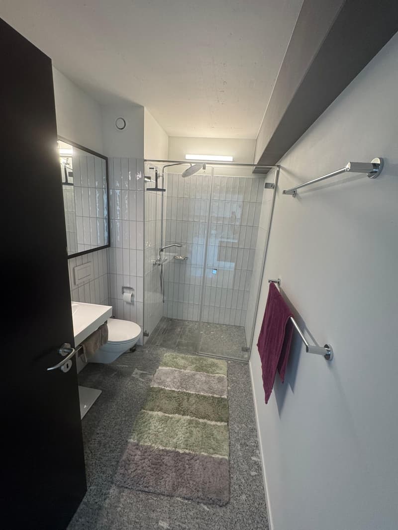 2.5 modern apartment with great views (8)