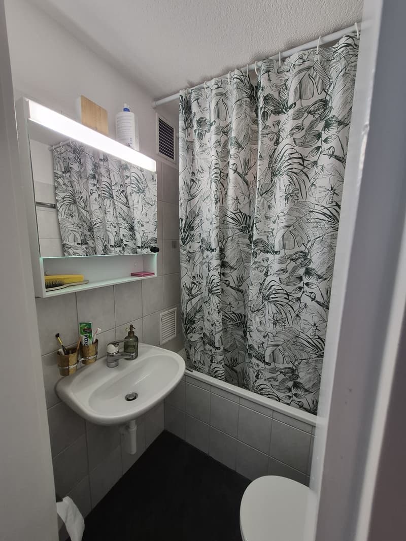 Gemütliche Wohnung in Uster Zentrum (7)