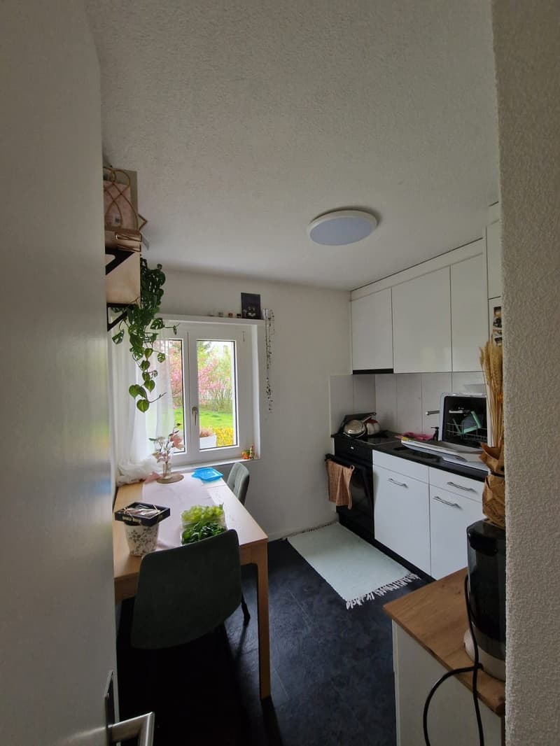 Gemütliche Wohnung in Uster Zentrum (5)