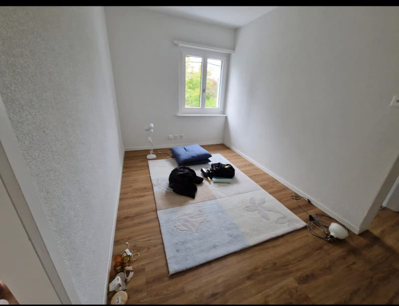 Gemütliche Wohnung in Uster Zentrum (4)