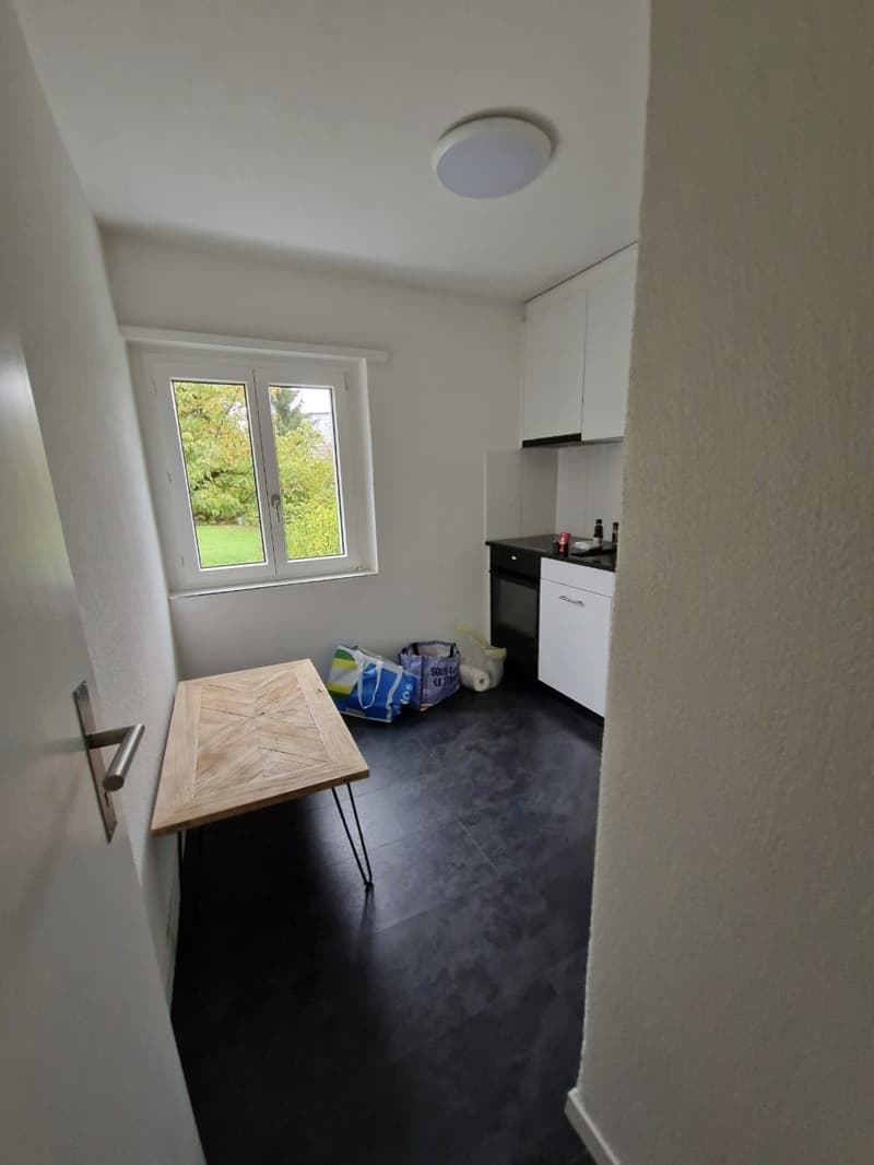 Gemütliche Wohnung in Uster Zentrum (3)