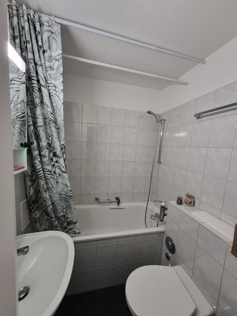 Gemütliche Wohnung in Uster Zentrum (8)