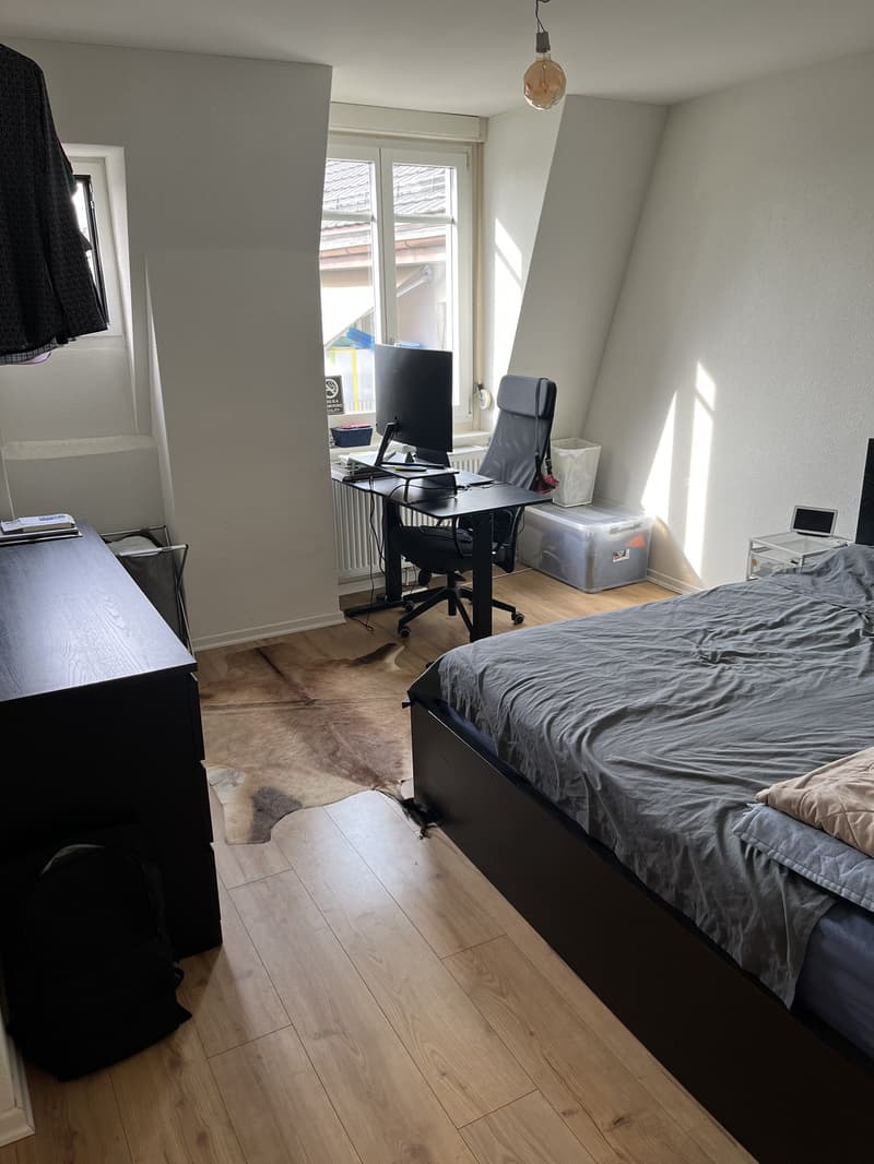 3-Zimmer Wohnung in Wiedikon (9)