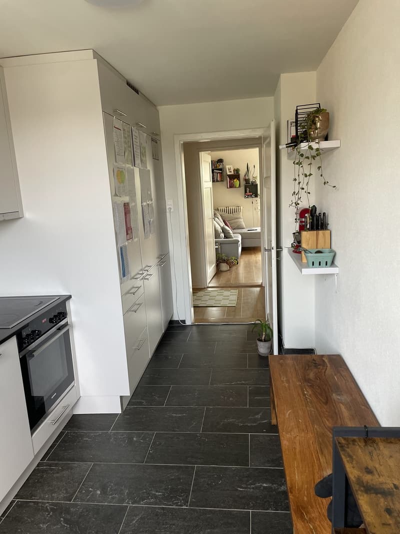 3-Zimmer Wohnung in Wiedikon (6)