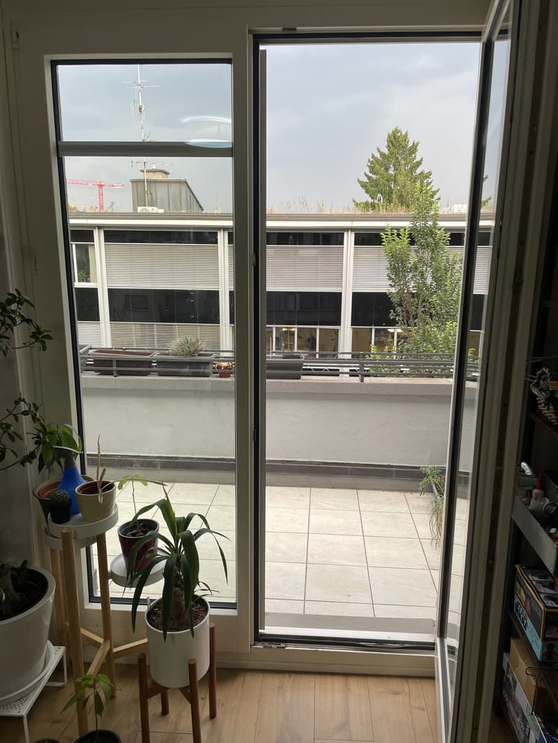 3-Zimmer Wohnung in Wiedikon (2)