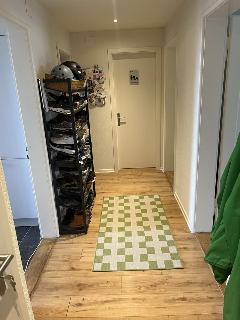 3-Zimmer Wohnung in Wiedikon (12)