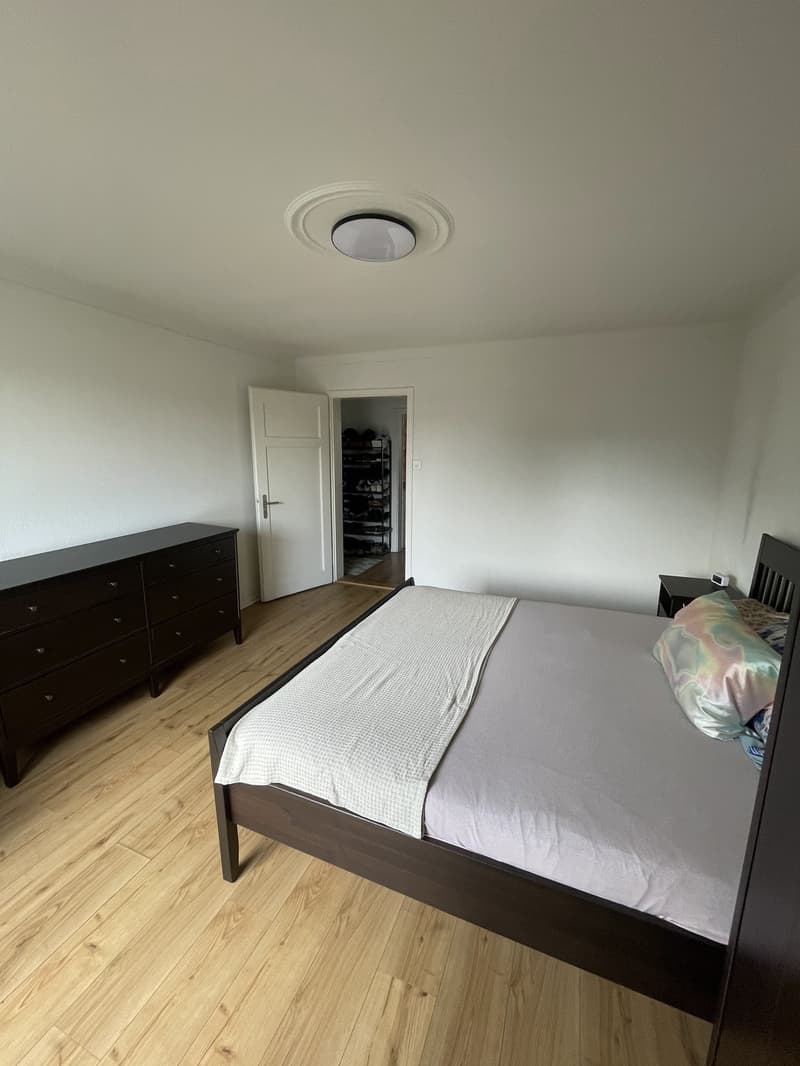 3-Zimmer Wohnung in Wiedikon (8)