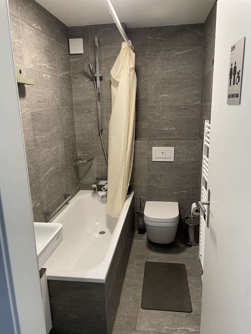 3-Zimmer Wohnung in Wiedikon (10)