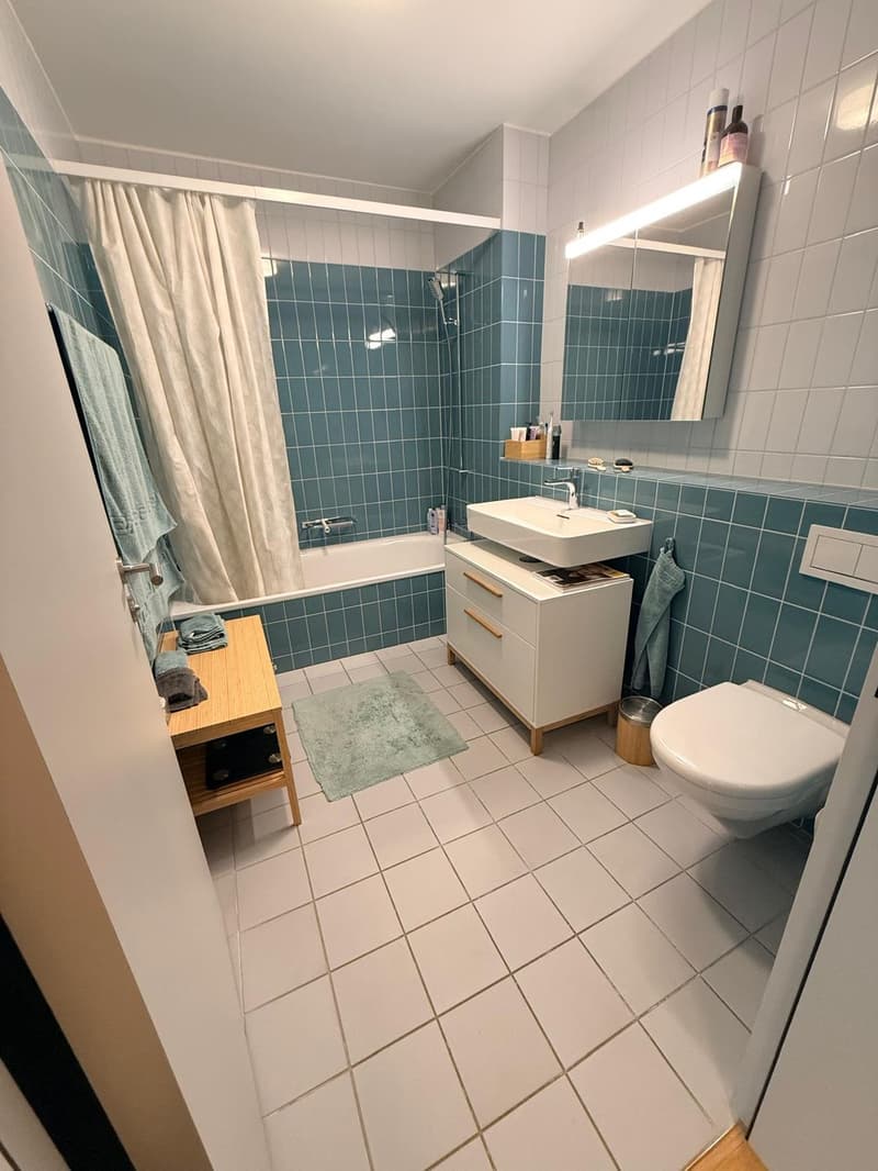 * Moderne 4.5-Zimmer-Wohnung an der Buckhauserstrasse in Zürich-Altstetten (4)