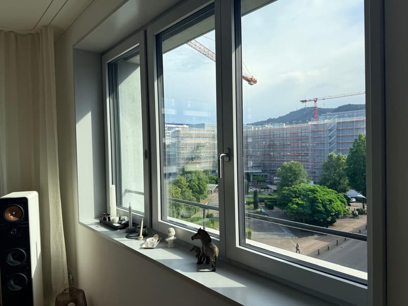 * Moderne 4.5-Zimmer-Wohnung an der Buckhauserstrasse in Zürich-Altstetten (5)