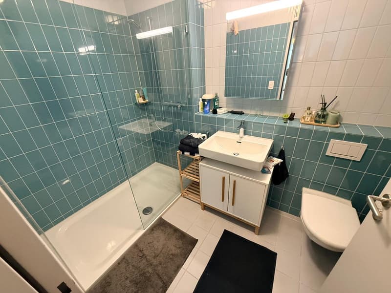 * Moderne 4.5-Zimmer-Wohnung an der Buckhauserstrasse in Zürich-Altstetten (7)