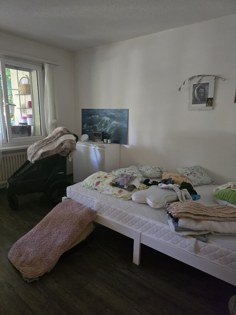 2 ½ Zimmer-Wohnung, 8854 Siebnen (12)