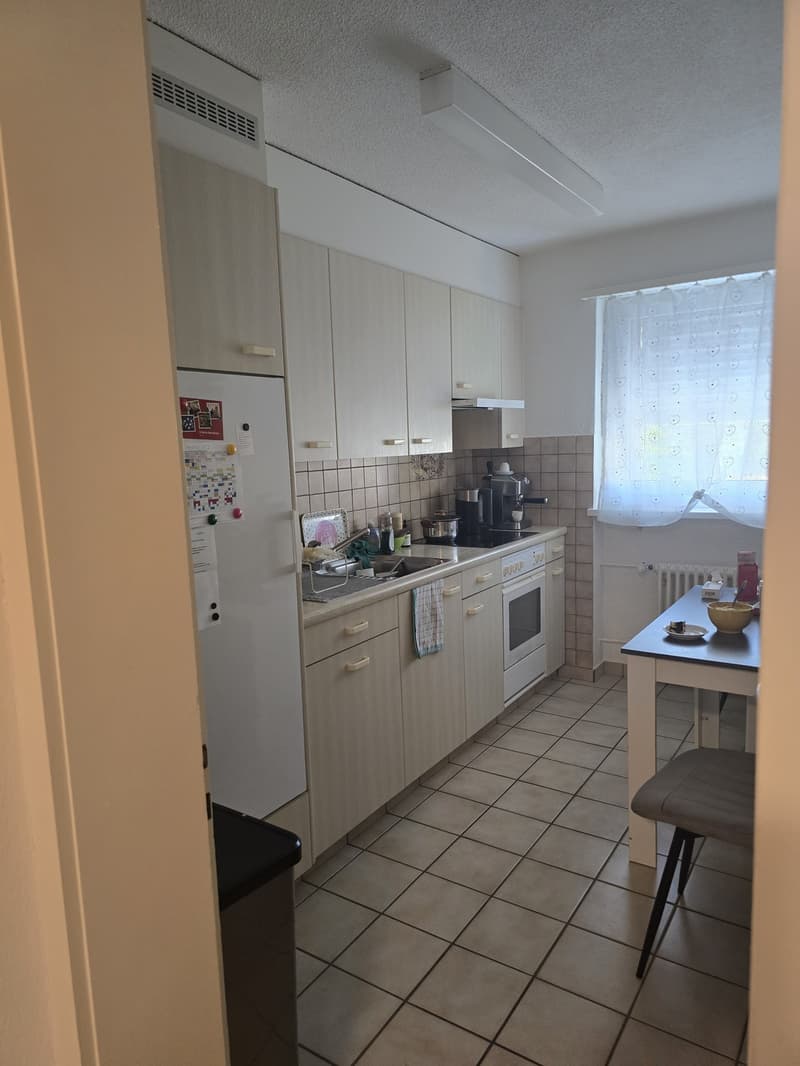 2 ½ Zimmer-Wohnung, 8854 Siebnen (4)