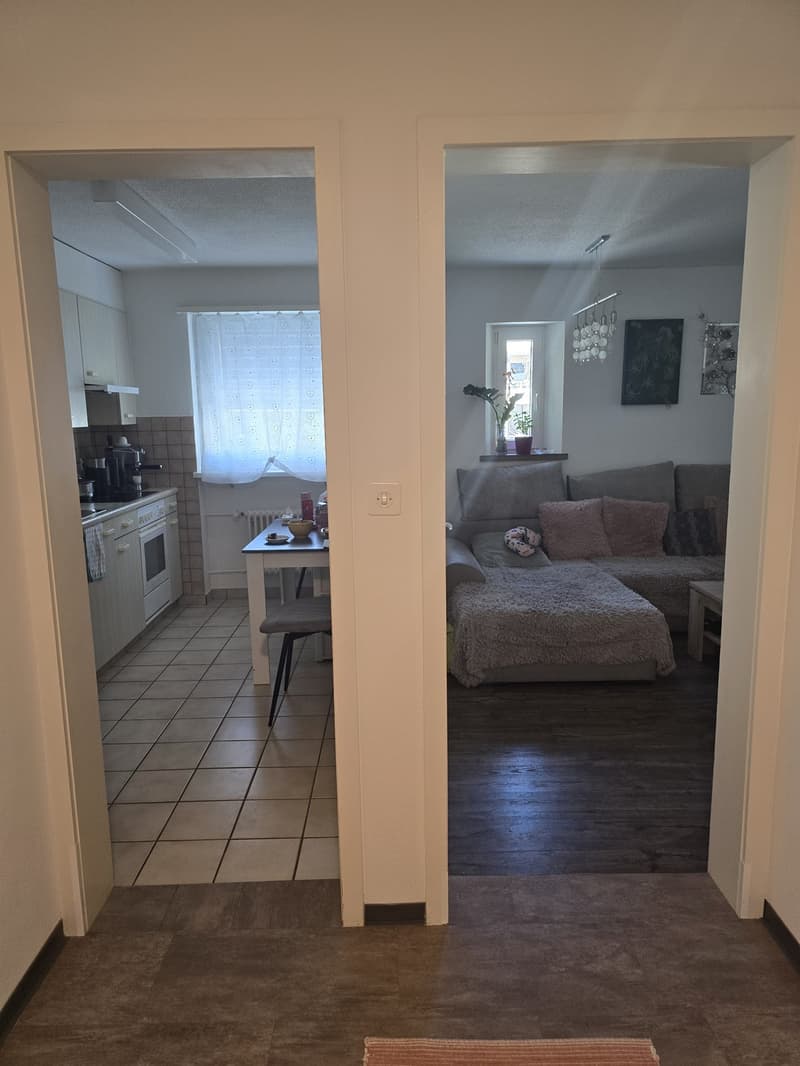 2 ½ Zimmer-Wohnung, 8854 Siebnen (11)