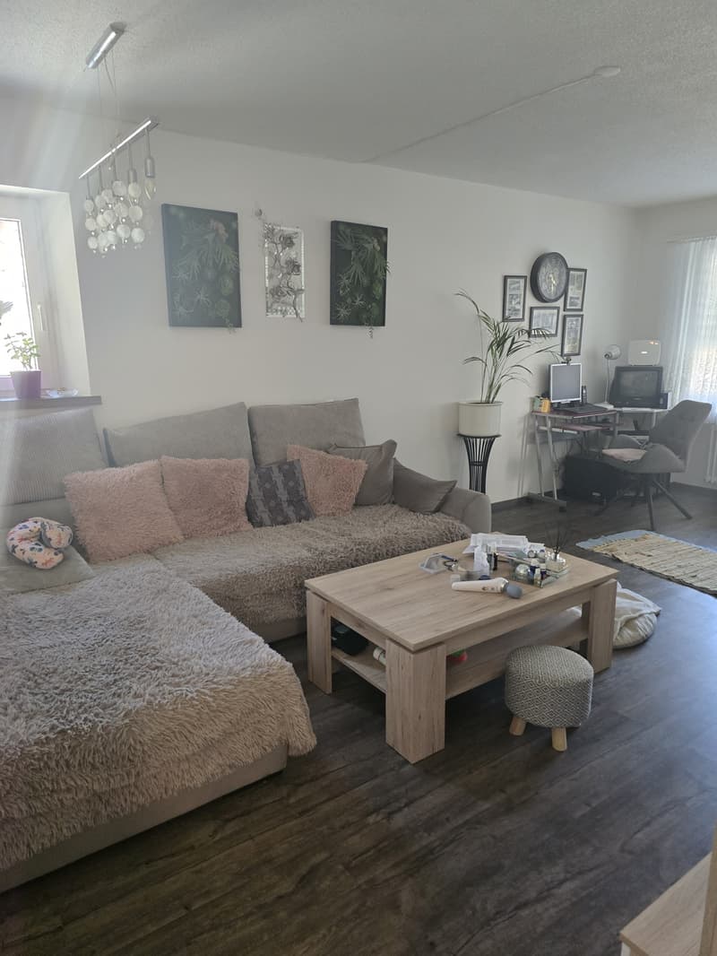 2 ½ Zimmer-Wohnung, 8854 Siebnen (6)