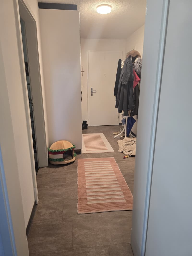 2 ½ Zimmer-Wohnung, 8854 Siebnen (1)