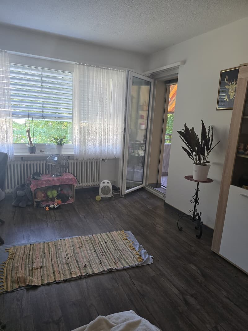 2 ½ Zimmer-Wohnung, 8854 Siebnen (10)