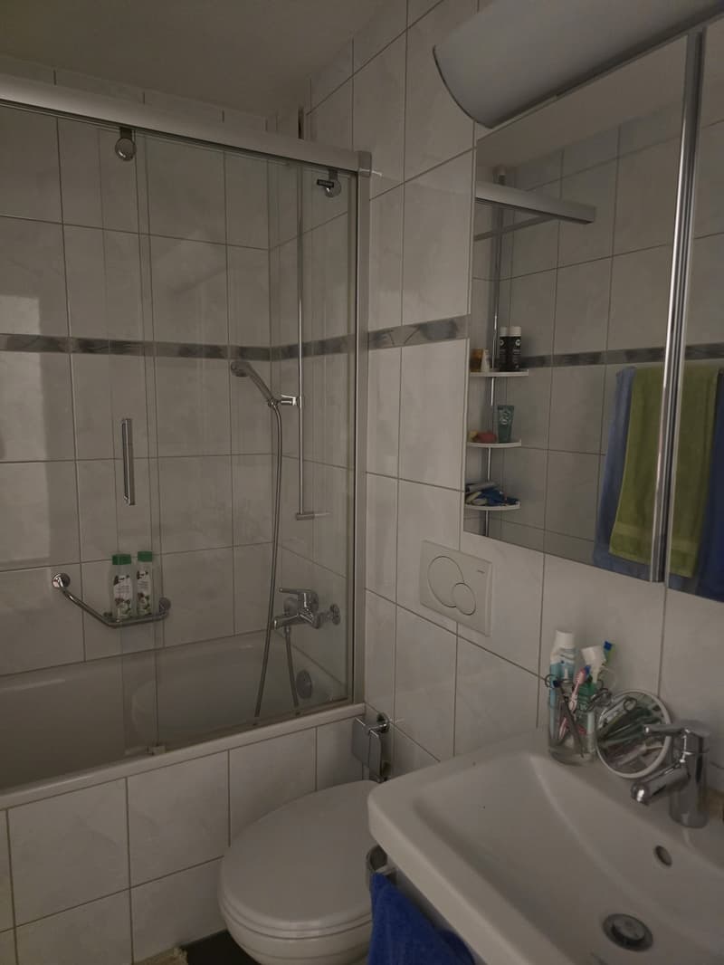 2 ½ Zimmer-Wohnung, 8854 Siebnen (2)