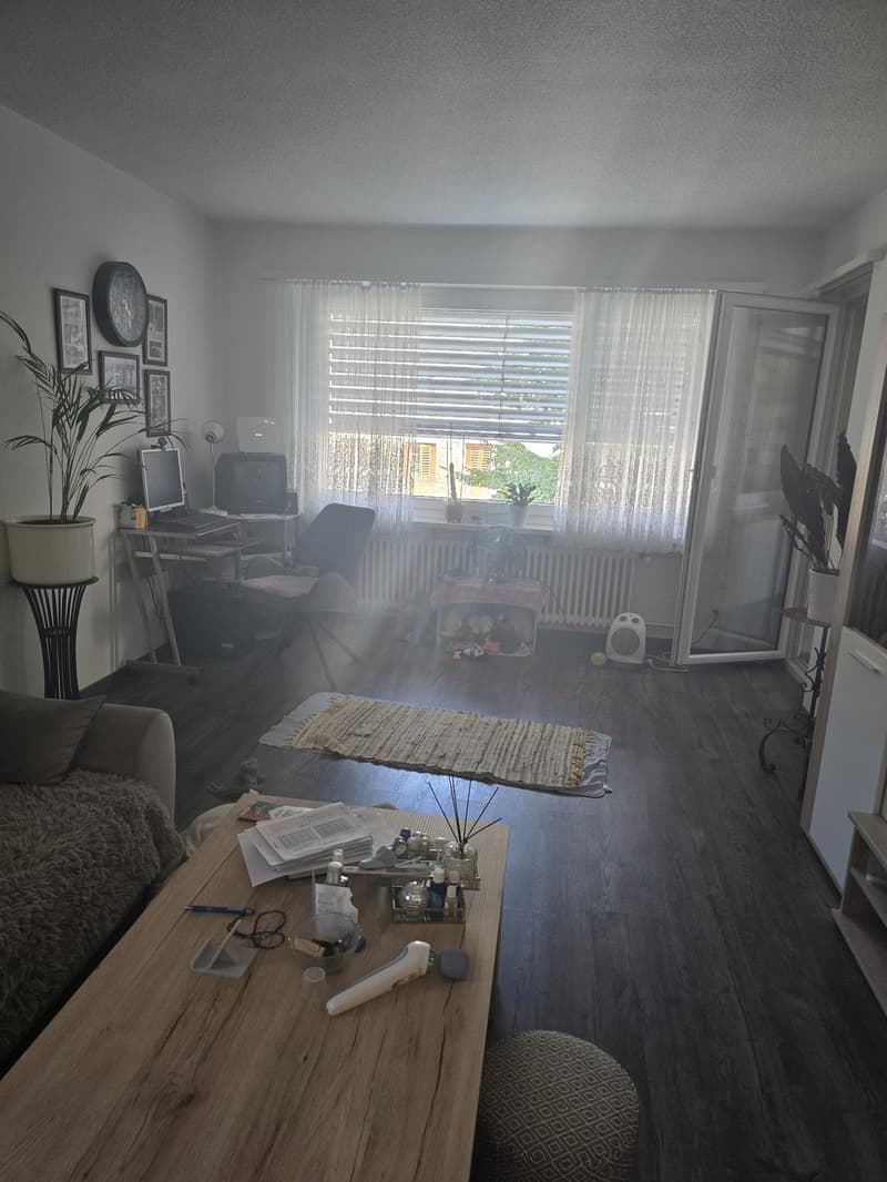 2 ½ Zimmer-Wohnung, 8854 Siebnen (9)