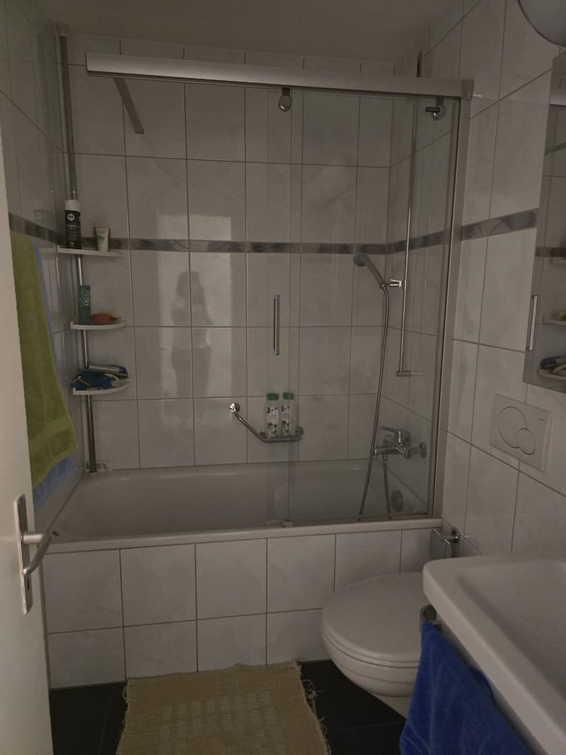 2 ½ Zimmer-Wohnung, 8854 Siebnen (5)