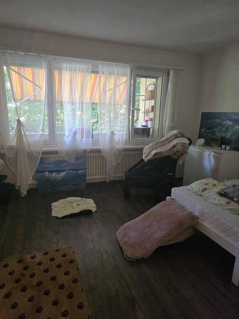 2 ½ Zimmer-Wohnung, 8854 Siebnen (3)