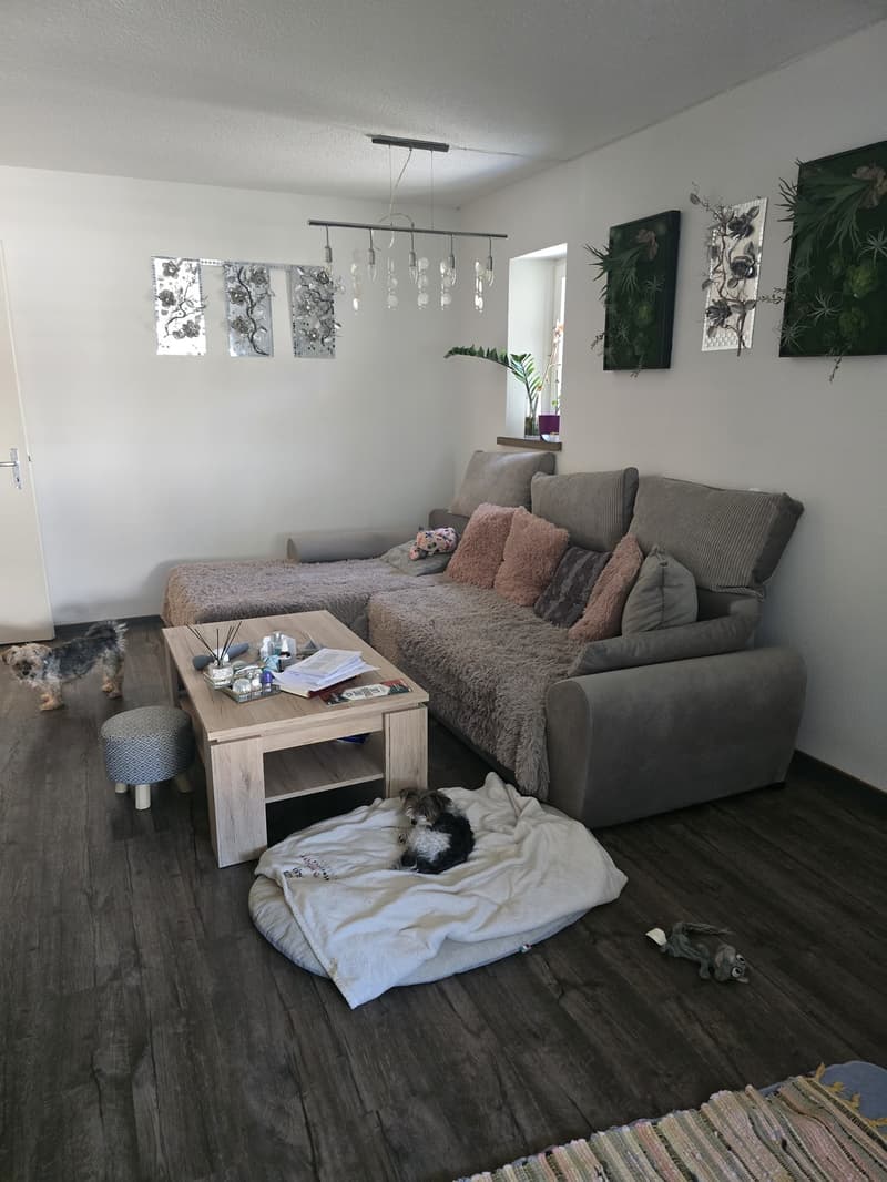 2 ½ Zimmer-Wohnung, 8854 Siebnen (8)
