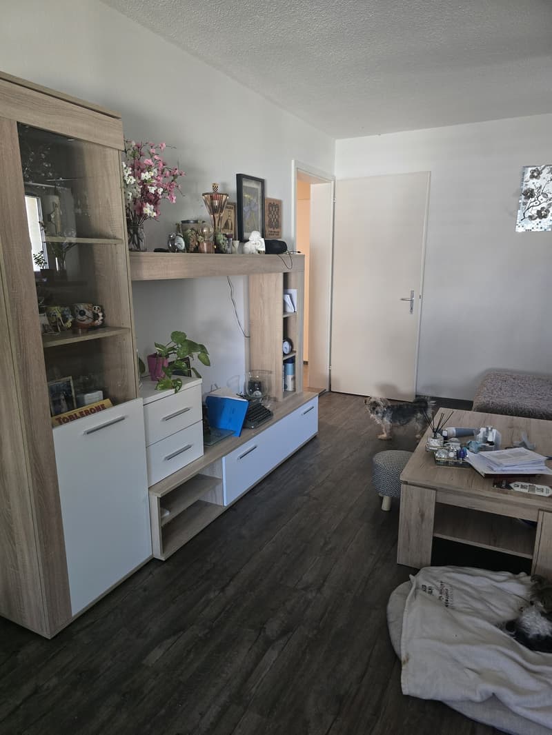 2 ½ Zimmer-Wohnung, 8854 Siebnen (7)