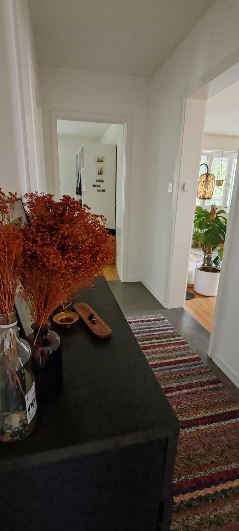 Gesellige Sports-Maus gesucht in 3,5 Zimmer Wohnung (5)
