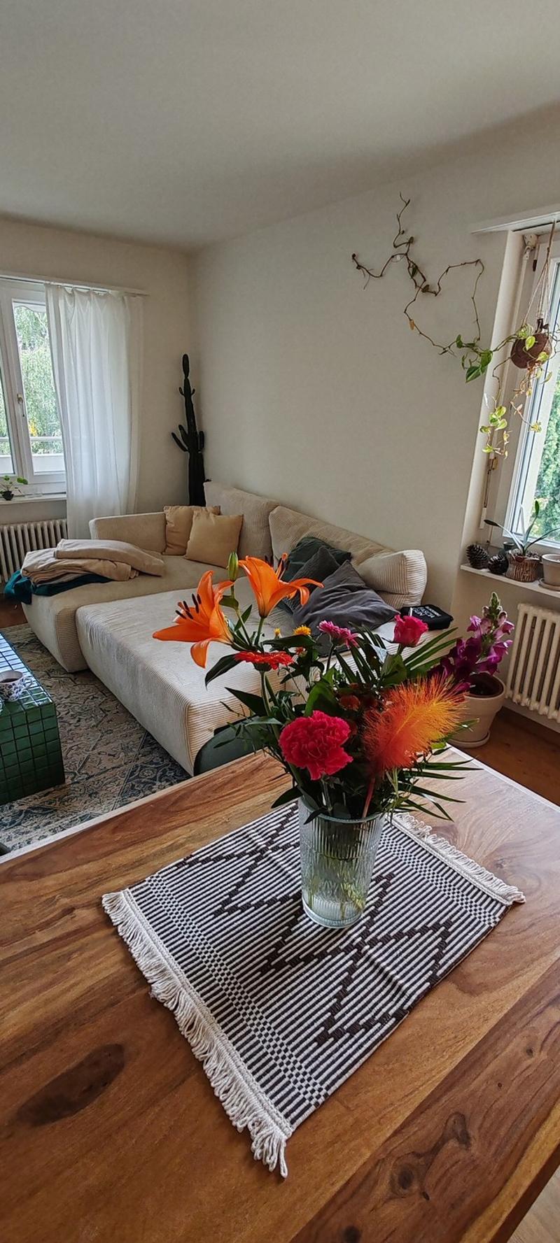 Gesellige Sports-Maus gesucht in 3,5 Zimmer Wohnung (1)