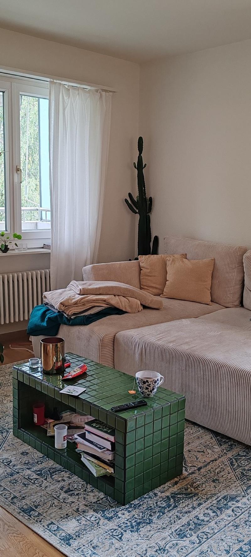 Gesellige Sports-Maus gesucht in 3,5 Zimmer Wohnung (4)