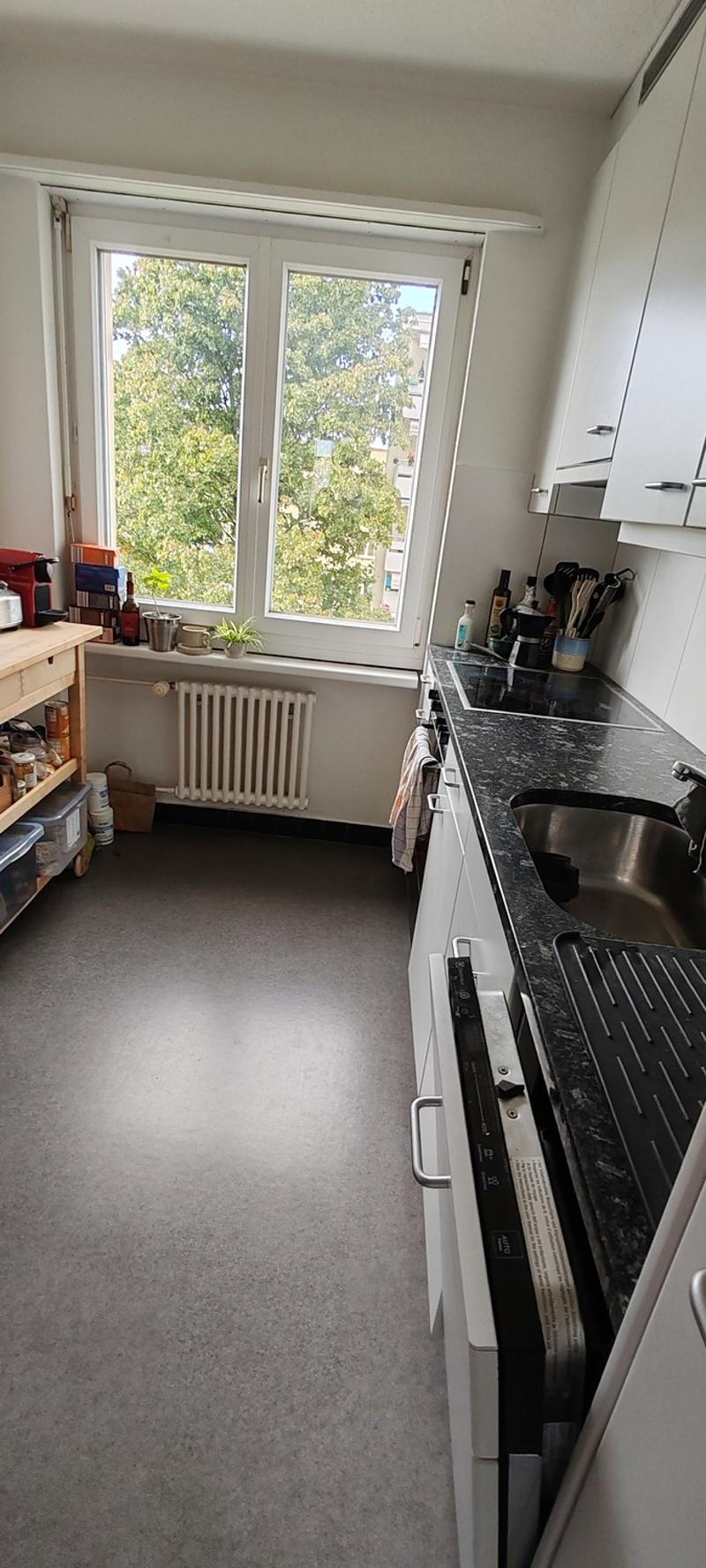 Gesellige Sports-Maus gesucht in 3,5 Zimmer Wohnung (7)