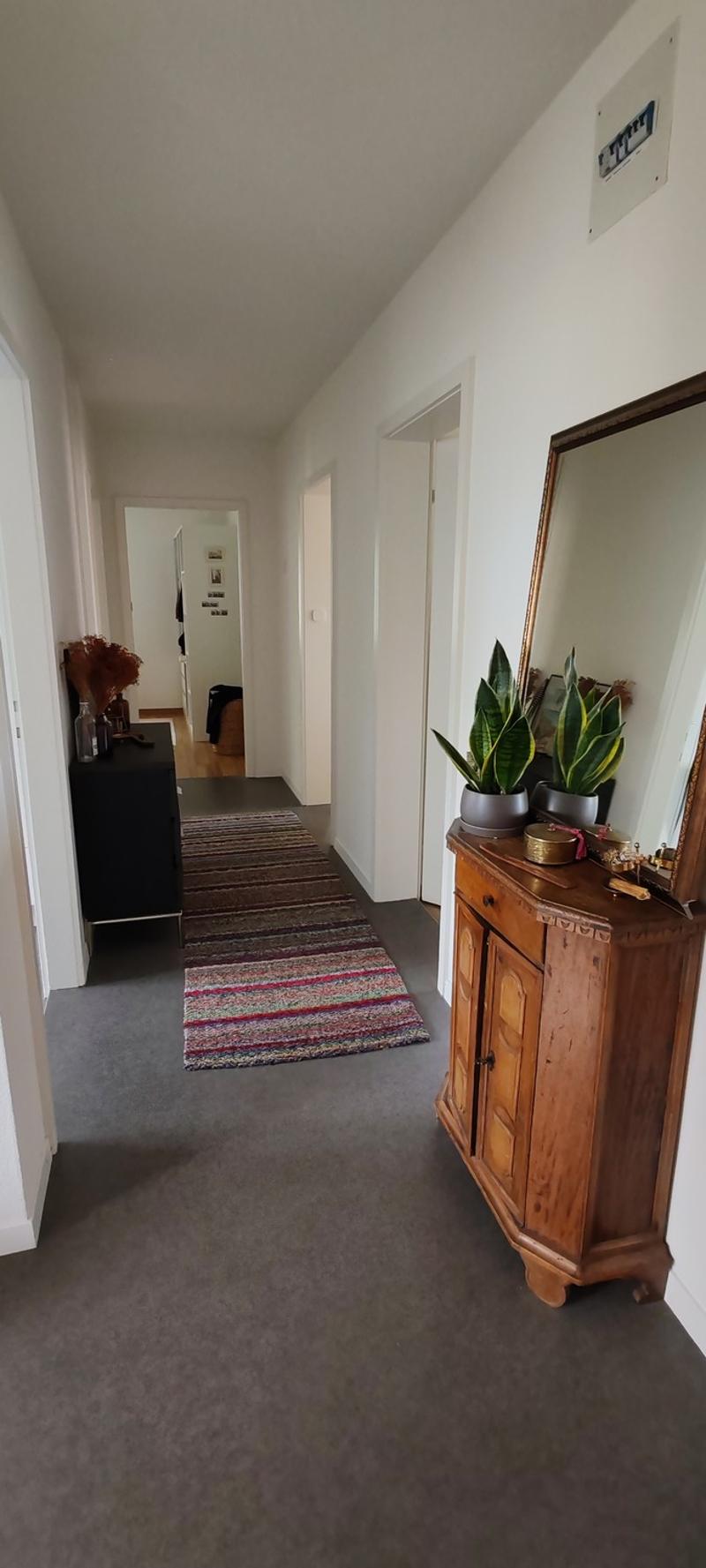 Gesellige Sports-Maus gesucht in 3,5 Zimmer Wohnung (11)