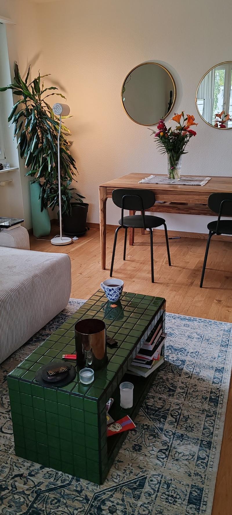 Gesellige Sports-Maus gesucht in 3,5 Zimmer Wohnung (2)