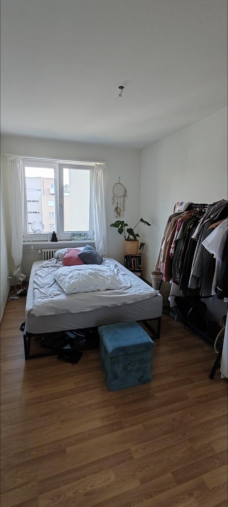 Gesellige Sports-Maus gesucht in 3,5 Zimmer Wohnung (9)