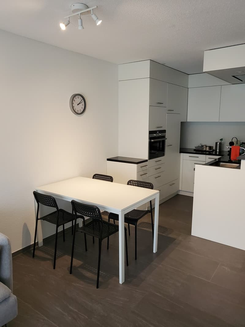 Möblierte Gartenwohnung mit Einzelgarage und Vorplatz (5)